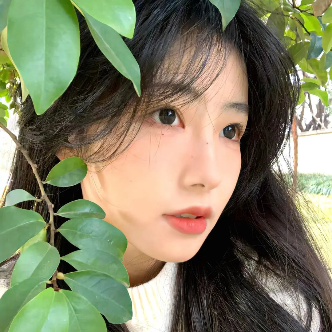 飞行夜女巫
